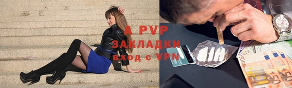 apvp Алексин