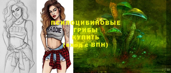 apvp Алексин