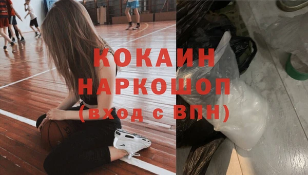 apvp Алексин