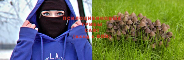 амфетамин Алексеевка